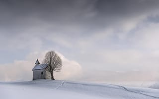 Картинка снег, дерево, дом, зима