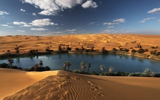 Картинка libya, песок, пальмы, пустыня, оазис, природа