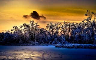 Картинка sunlight, landscape, winter, nature