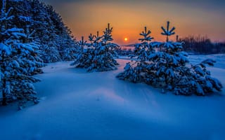 Картинка landscape, trees, winter, nature, sunset, sea, snow, cold