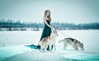 Картинка снег, природа, девушка, собаки, зима