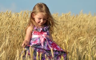 Картинка пшеница, лето, платье, колоски, девочка