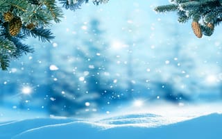 Картинка зимние, Природа, Ветки, снеге, снега, снегу, ветка, Шишки, Снег, ветке, на, Зима, шишка, ветвь