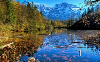 Обои Австрия, Salzkammergut, река, гора, Леса, Реки, Пейзаж, Горы, осенние, Природа, речка, Осень, лес