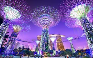 Обои Сингапур, Gardens, Ночь, ночью, ночи, Города, the, парк, Bay, Парки, Ночные, город, by