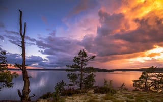 Картинка Финляндия, Ель, Пейзаж, Озеро, ели, Облака, Природа, Рассветы, закаты, облачно, закат, рассвет, облако