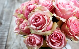 Картинка Букеты, Розы, букет, розовые, Розовый, цветок, розовых, розовая, роза, Цветы
