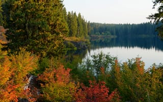Картинка США, Clear, осенние, Oregon, Lake, Озеро, Природа, лес, Осень, штаты, Леса