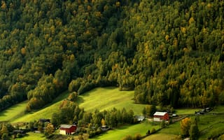 Картинка Норвегия, Skjelle, Сверху, Дома, лес, Леса, Здания, Природа, Луга