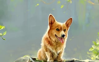 Картинка Вельш-корги, Собаки, собака, Рисованные, Животные, животное