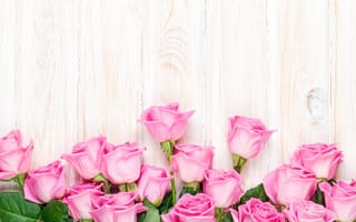 Картинка роза, Розовый, Цветы, цветок, розовые, розовая, поздравительной, розовых, открытки, Шаблон, Розы