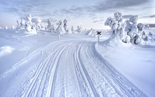 Картинка Лапландия, область, снегу, Зима, Финляндия, Снег, снега, Дороги, снеге, Природа, зимние