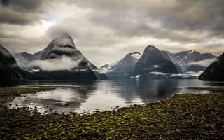 Картинка Новая, Зеландия, Fjord, Природа, Milford, гора, берег, Побережье, Горы, Sound