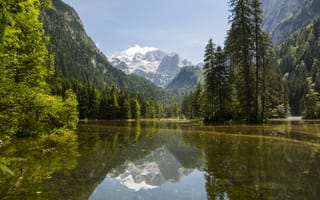 Картинка Австрия, Gosau, Озеро, гора, Горы, Леса, лес, Ель, Пейзаж, ели, Природа