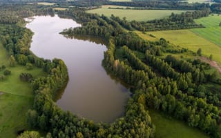 Картинка Эстония, Lake, лес, Kuuni, Леса, Сверху, Озеро, Природа, Поля
