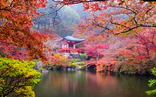 Картинка Киото, Япония, ветке, на, парк, Осень, Парки, ветка, Природа, ветвь, Ветки, осенние, Пагоды, Пруд