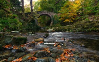 Обои Ирландия, Мосты, лес, Реки, речка, осенние, Камни, Камень, мха, Мох, Природа, Осень, река, мхом, Леса