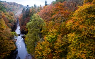 Картинка Шотландия, Perthshire, Осень, Реки, Природа, Леса, река, осенние, речка, лес