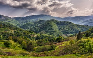 Картинка Сербия, Bajina, Облака, холмов, лес, Холмы, облачно, холм, Леса, облако, Природа, Bauta, Поля, Zlatibor