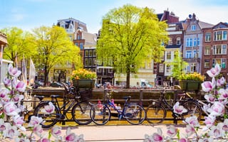 Картинка Амстердам, Нидерланды, весенние, Велосипед, город, велосипеды, Весна, велосипеде, Города