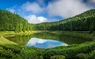 Картинка Португалия, Sao, Озеро, Кусты, кустов, лес, Леса, Miguel, Природа, Azores