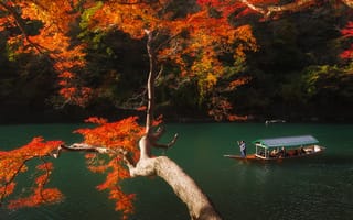 Картинка Киото, Япония, Природа, Парки, осенние, Осень, на, Леса, ветке, речка, парк, ветвь, лес, ветка, река, Ветки, Лодки, Реки