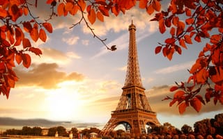 Картинка париже, Эйфелева, Париж, город, Франция, башня, лист, Города, Листва, Листья, осенние, Осень