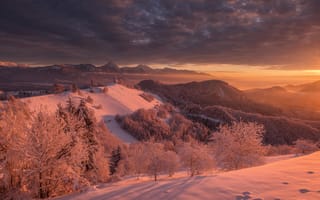 Картинка Словения, Radovljica, Природа, снеге, холм, снегу, Зима, Снег, Леса, Рассветы, снега, закаты, Холмы, зимние, холмов