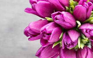 Картинка Тюльпаны, фиолетовая, Фиолетовый, Серый, вблизи, Цветы, планом, Крупным, фиолетовые, фиолетовых