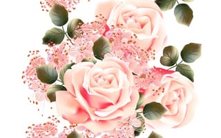Картинка Розы, розовых, белом, Розовый, белым, Белый, розовые, Цветы, розовая, фоном, фоне