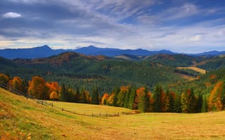 Картинка Закарпатье, Украина, Леса, осенние, Осень, Луга, Пейзаж, Природа, Горы