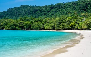 Обои Champagne, Beach, Тропики, Vanuatu, берег, Море, Пляж, пляже, Леса, пляжи, Побережье, Природа, пляжа