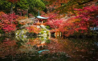 Картинка Киото, Япония, дерево, Природа, Деревья, деревьев, дерева, Пагоды, Осень, Парки, осенние, Пруд