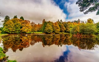 Картинка Природа, Ирландия, Дублин, осенние, Деревья, дерева, Gardens, дерево, Парки, деревьев, Botanic, Пруд, Осень