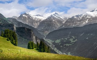 Обои Альпы, Швейцария, Горы, альп, Природа, Трава, траве, Пейзаж