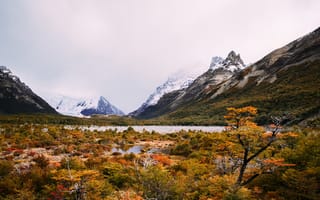 Картинка Аргентина, Laguna, Природа, Горы, осенние, Осень, Озеро, Torre