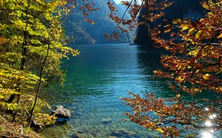 Картинка Германия, Konigsee, ветвь, ветке, ветка, на, Ветки, Озеро, Природа, Камни, Камень, Осень, осенние