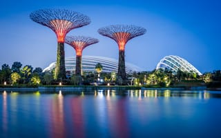 Картинка Сингапур, Gardens, Bay, by, Дизайн, Вечер, Природа, the, Парки, Залив