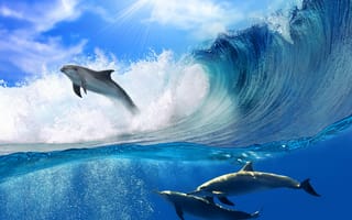 Картинка Дельфины, Море, Волны, Океан, Прыжок, Животные