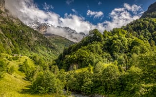 Картинка Швейцария, Горы, Леса, Пейзаж, Природа