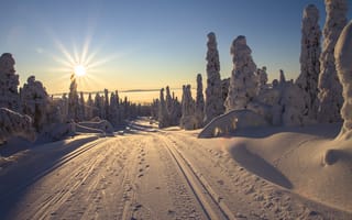 Обои Лучи, света, Рассветы, Снег, закаты, солнца, Финляндия, Лапландия, снеге, Пейзаж, Солнце, Природа, Дороги, зимние, область, снегу, снега, Зима