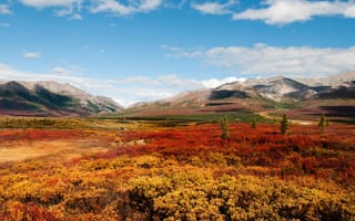 Картинка Аляска, штаты, Природа, Park, Горы, США, Denali, Осень, парк, Парки, гора, осенние, National