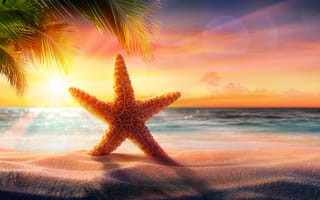 Обои Морские, звезды, пляже, Лето, песке, рассвет, пляжа, Песок, закат, пляжи, песка, закаты, Вечер, Пляж, Рассветы, Море, Природа