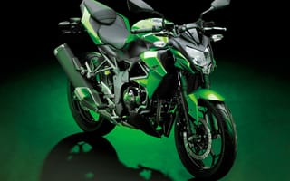 Обои Kawasaki, 2014-19, зеленые, Кавасаки, Мотоциклы, Z250SL, Worldwide, Зеленый, зеленая, мотоцикл, зеленых