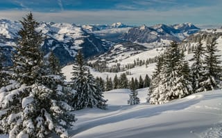 Картинка Альпы, Швейцария, гора, зимние, Природа, Зима, ели, Снег, Schwyz, снеге, снегу, снега, Горы, Ель, Пейзаж, альп