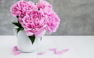 Картинка Розовый, пион, Цветы, Пионы, розовых, вазы, цветок, Ваза, вазе, розовые, розовая