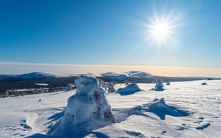 Обои Лапландия, область, снеге, Природа, снегу, Kolari, солнца, Небо, Зима, снега, Снег, Солнце, Финляндия, зимние