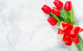 Картинка Тюльпаны, Цветы, открытки, подарок, подарков, Подарки, тюльпан, Шаблон, поздравительной, цветок