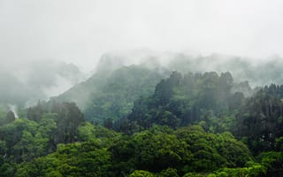 Обои Laos, тумане, Горы, гора, Туман, тумана, Природа, Леса, лес