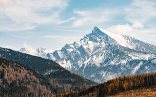 Картинка Словакия, Tatras, Горы, лес, Леса, гора, Природа